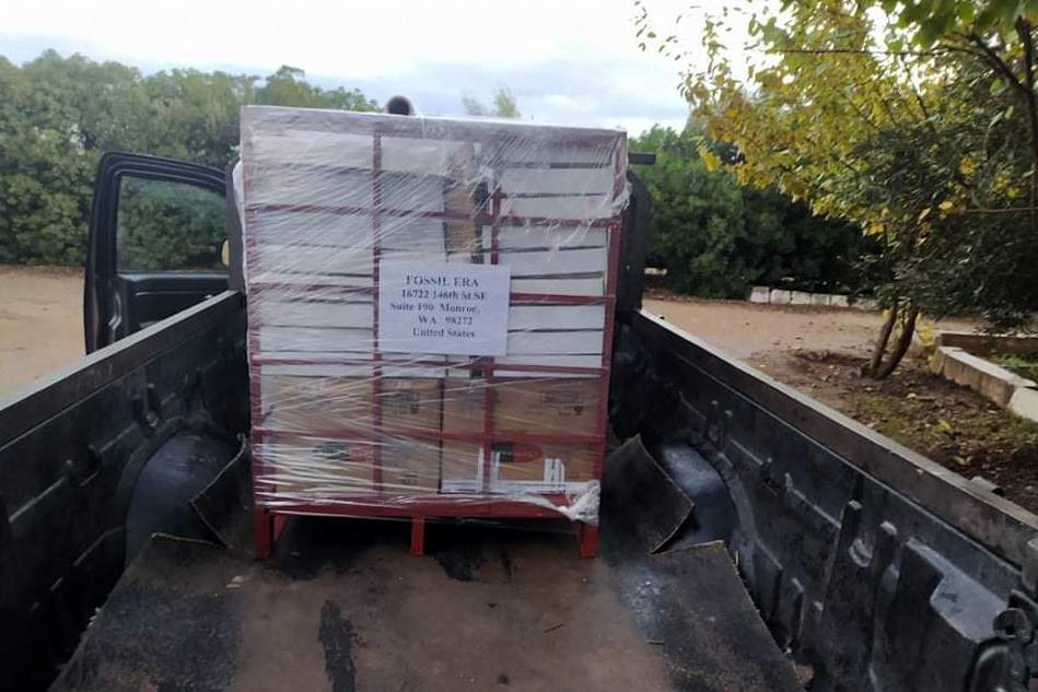 Fossils shipping internationally Morocco Fossils International