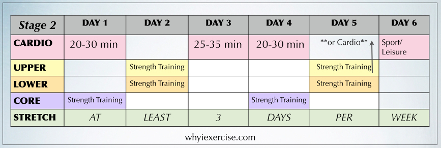 Free exercise program: workout calendar plus a guide to exercise.
