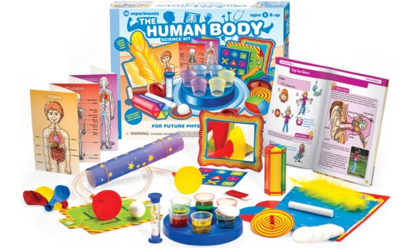 Brilliant Educational Games for 7 Year Olds - Wicked Uncle Blog