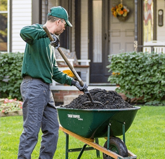 Root Zone Treatment & Root Collar Excavation Wickes/arborists, a Davey Co.