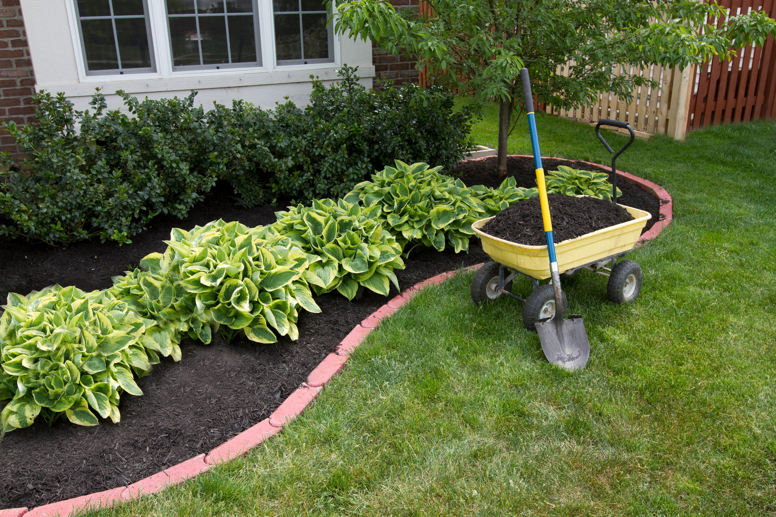 Mulch Installation Wickes/arborists, a Davey Co.
