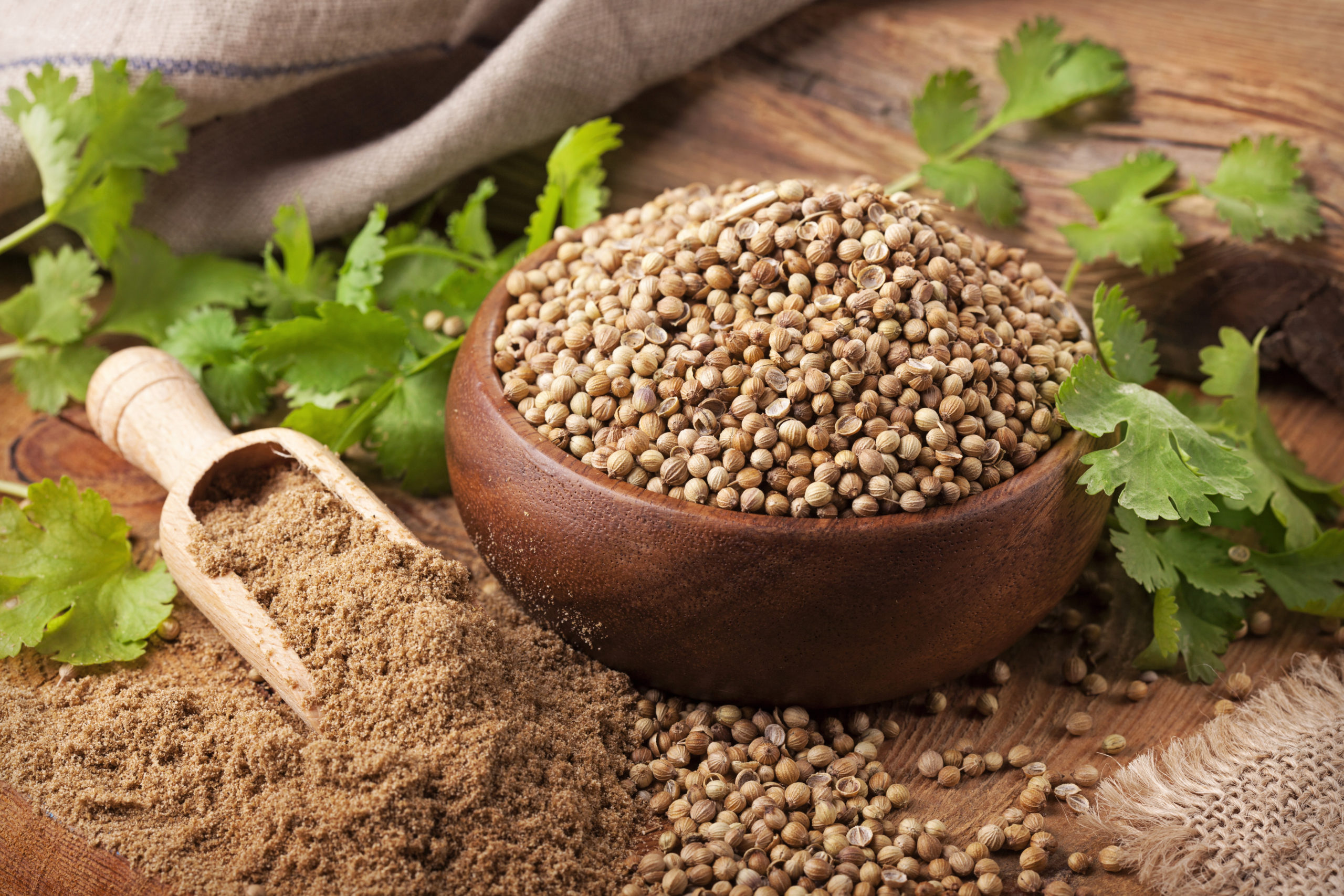 5 Coriander Substitutes To Save You a Trip to the Store