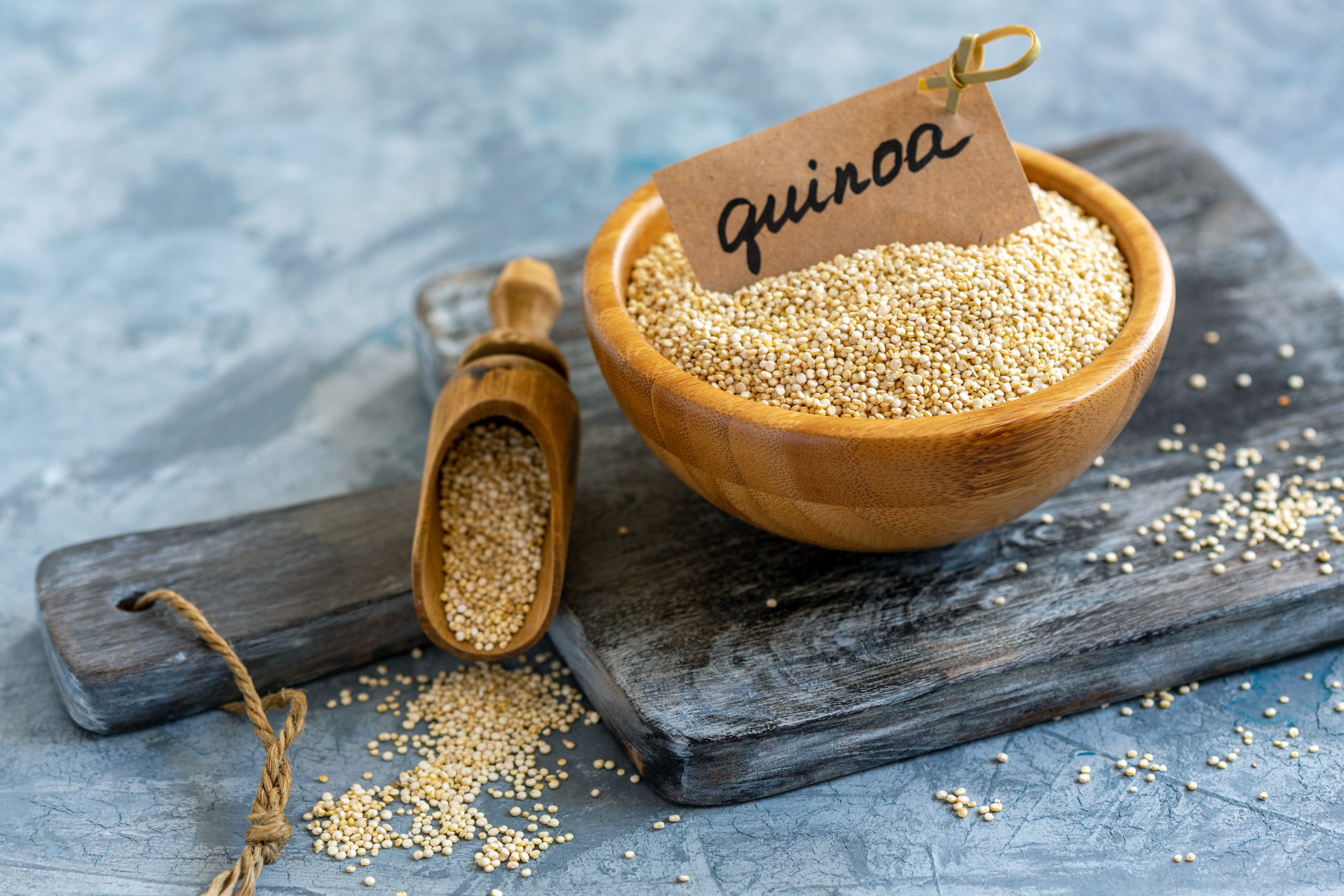 Can Dogs Eat Quinoa?