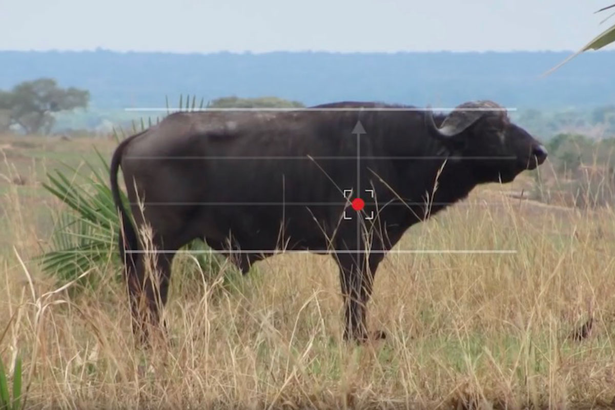 Craig Boddington Shares His Thoughts on Big Game Shot Placement Wide Open Spaces