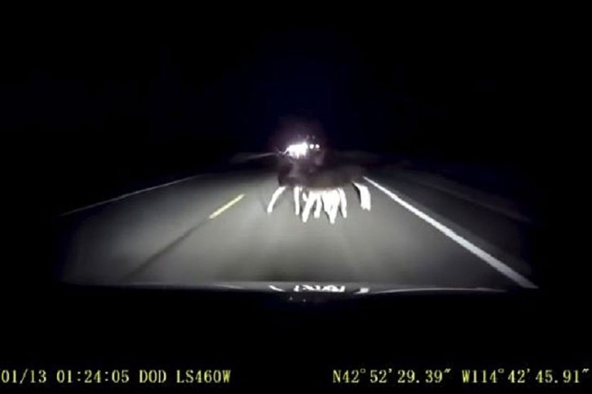 Deer vs. Vehicle Highway Crash in Minnesota Ends in Large Fire Wide