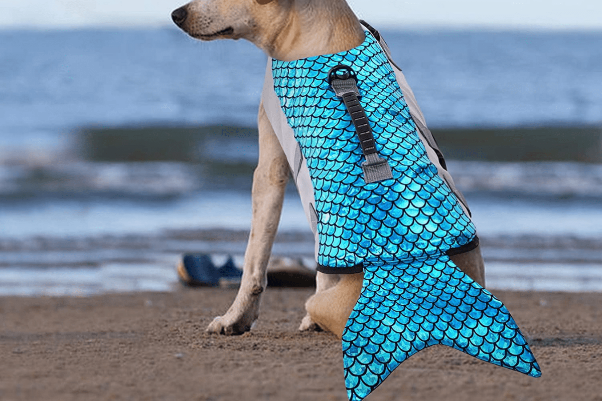 Mermaid Dog Life Jacket 5 Best of Summer 2021 + Shark Vests for Dogs