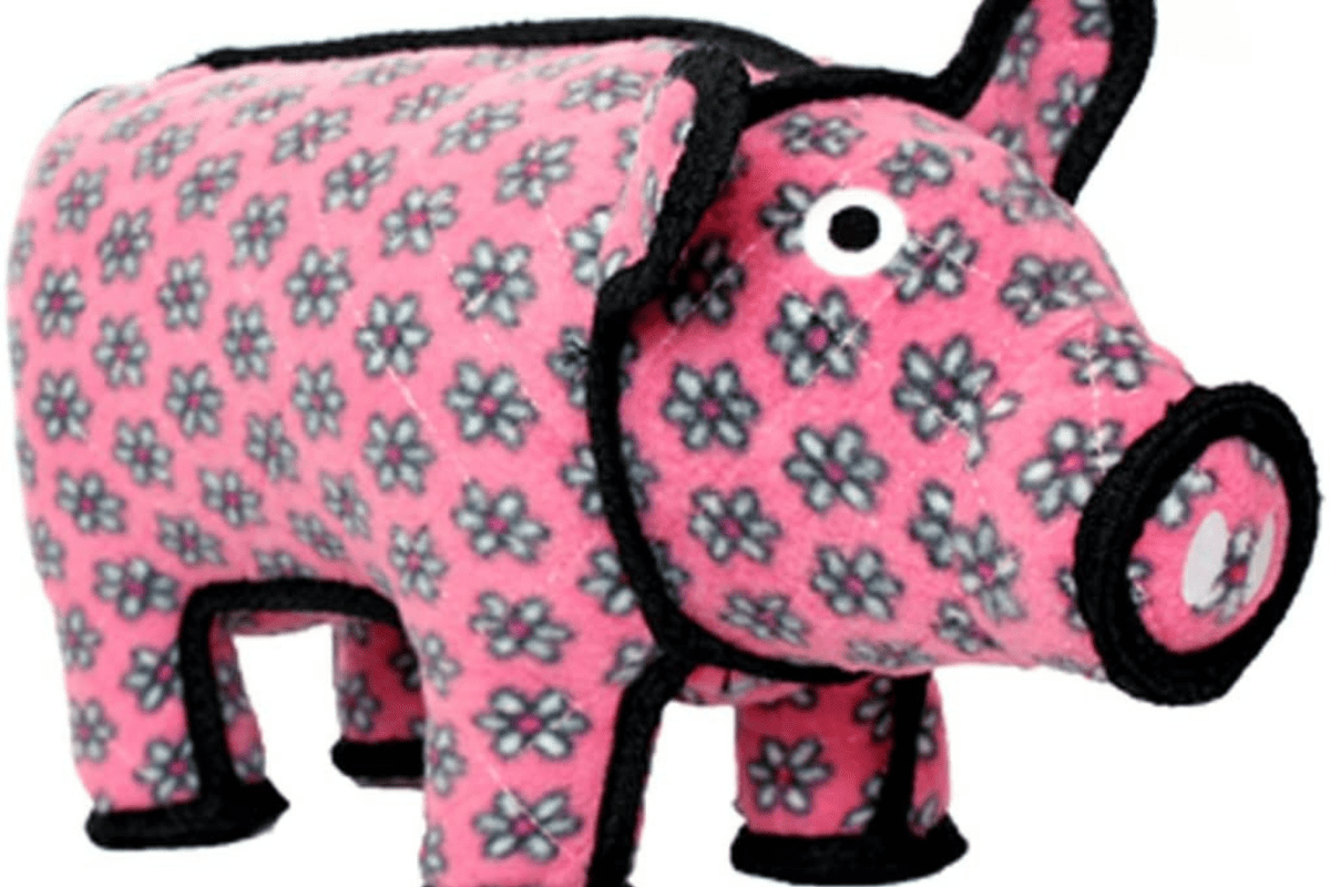 Day Trips from Kansas City 11 FamilyFriendly Adventures to Explore!