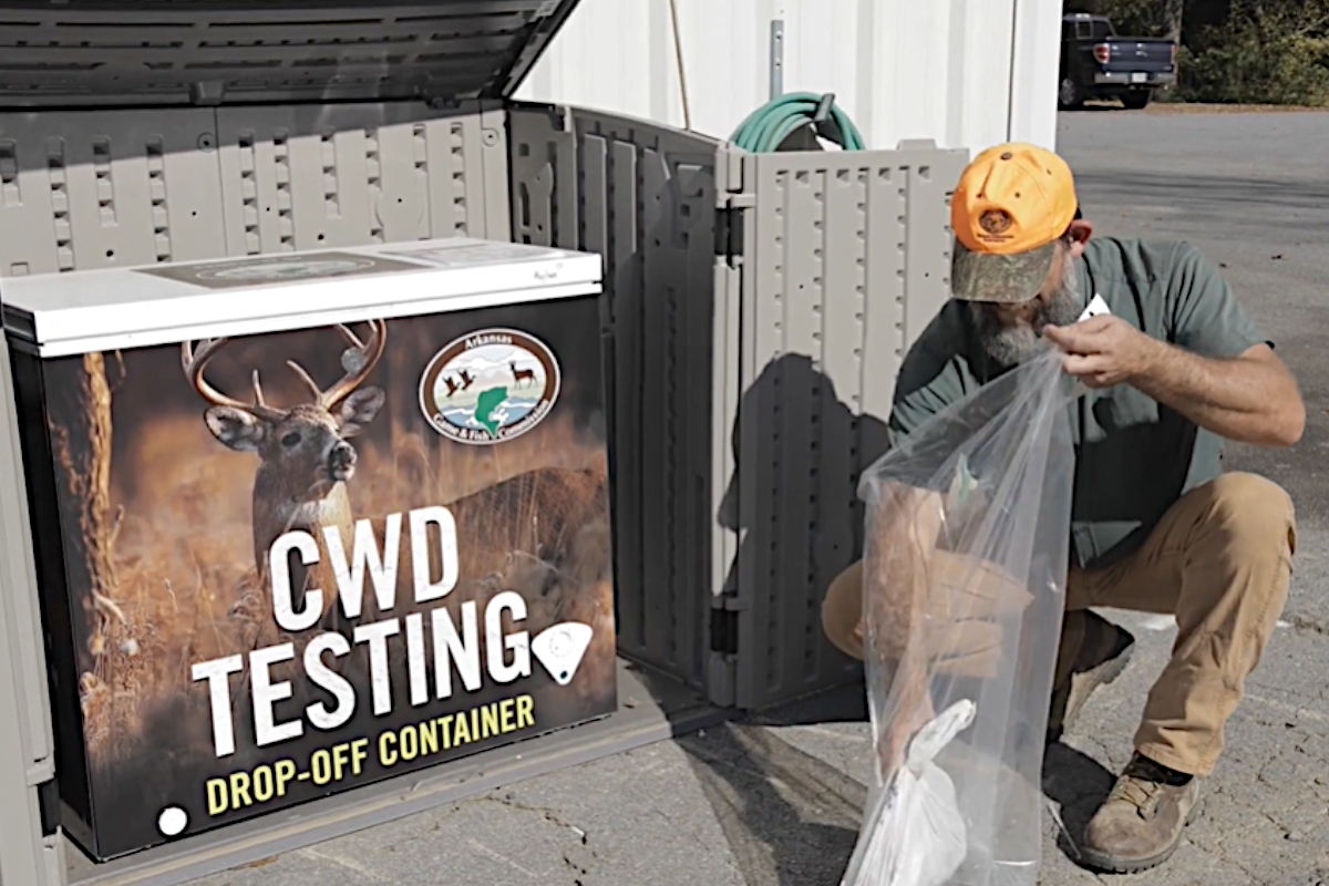 Can Humans Get CWD? The Facts on This Deadly Deer Disease Wide Open