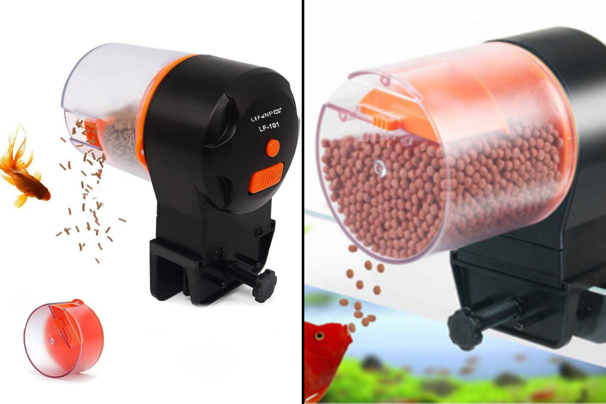 5 Best Automatic Fish Feeders of 2021 Under 30 for Travel & More