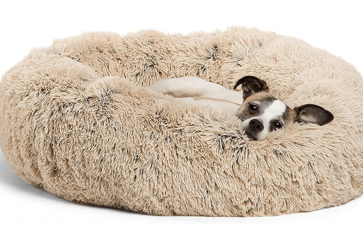 5 Most Comfy Calming Dog Beds for Dogs of 2021 With Anxiety & More