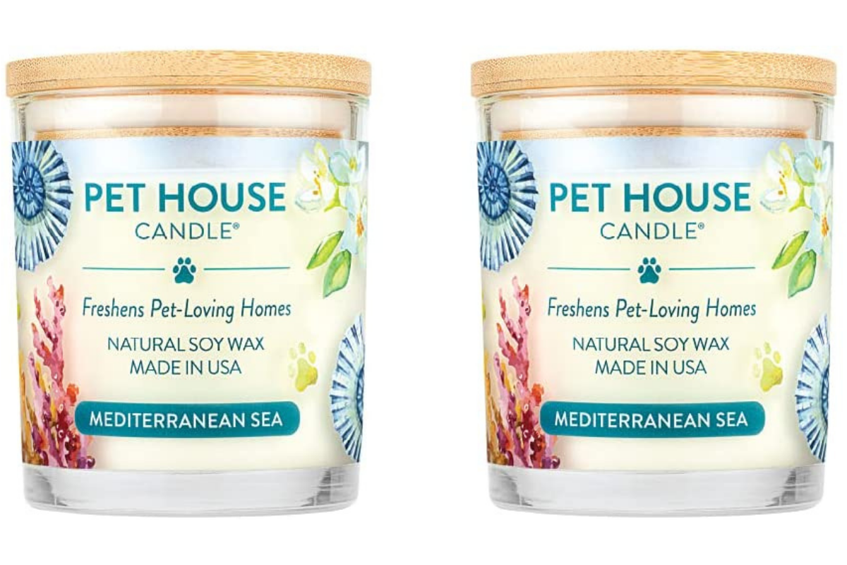 5 Best Candles for Pet Odors of 2022 {Litter Boxes, Dog Smells, and More}