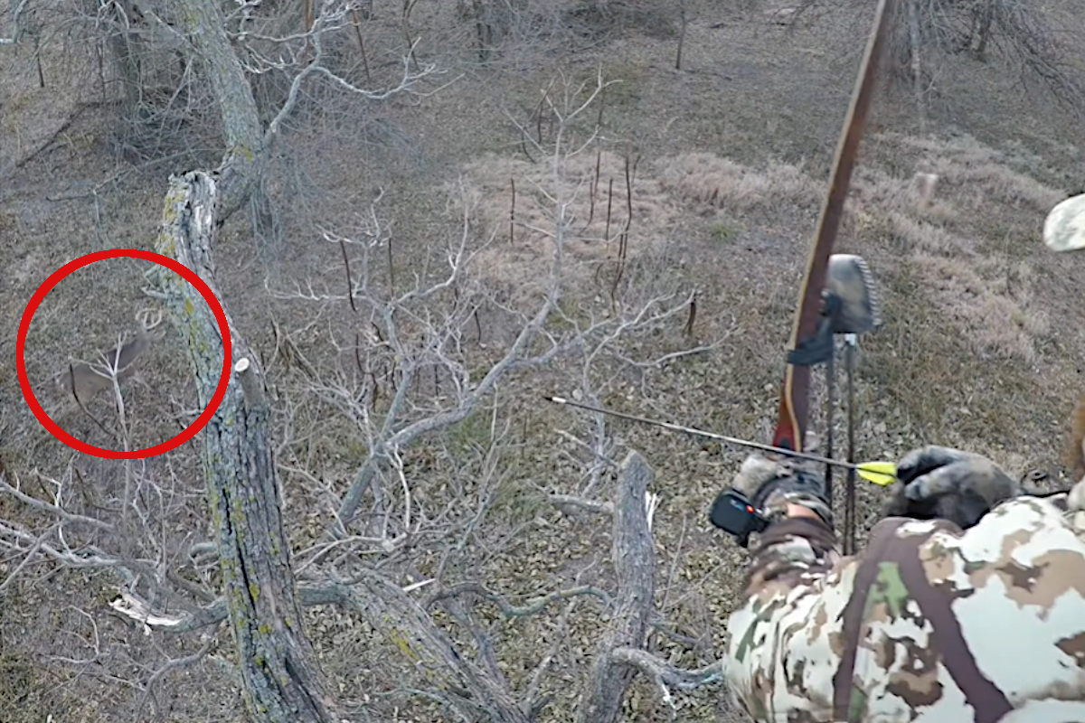 Traditional Archer Makes Great Shot on Large Kansas Buck With a Longbow