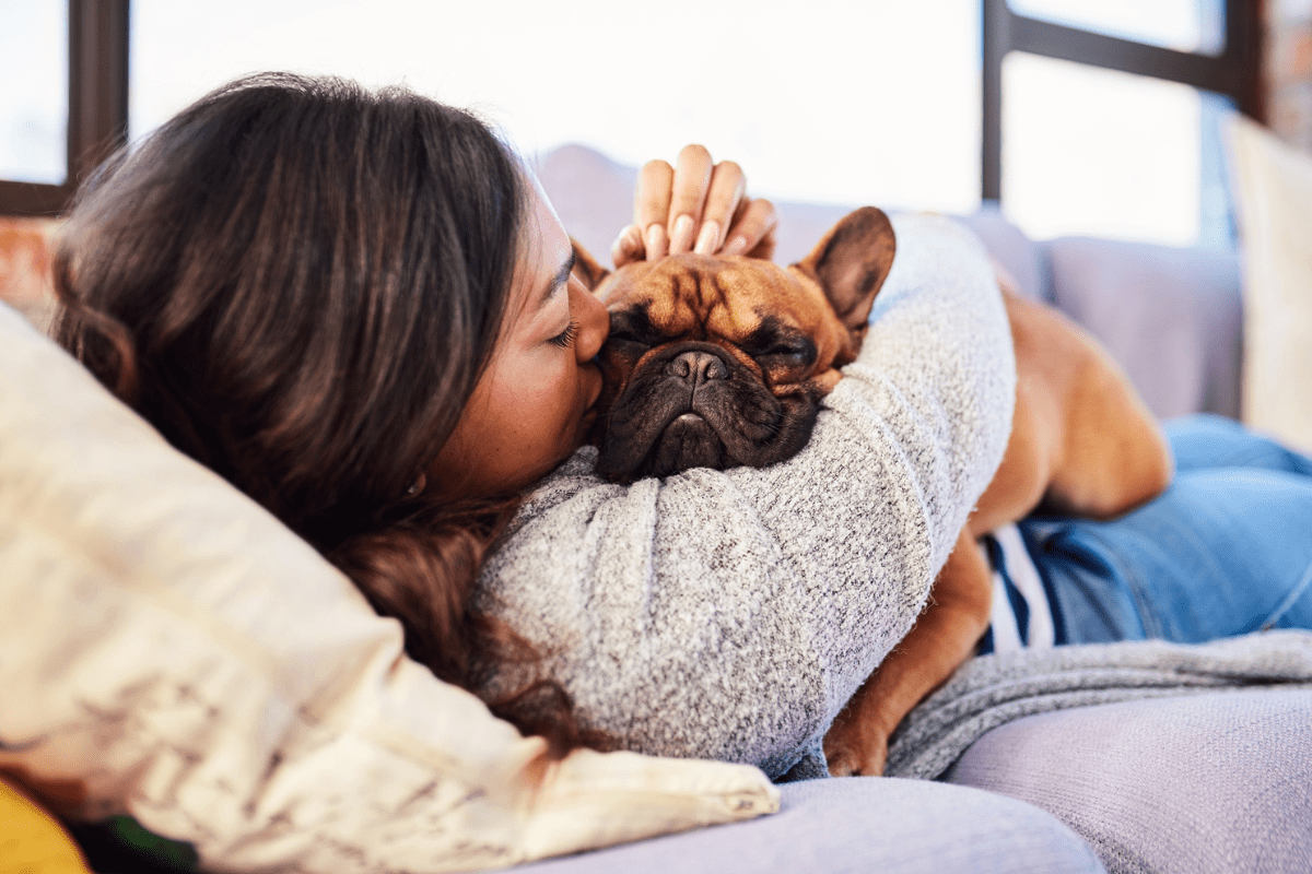 15 Best Emotional Support Dog Breeds for Anxiety and Depression