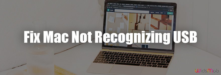 Why USB Not Showing Up on Mac? 8 Best Fixed You Should Know