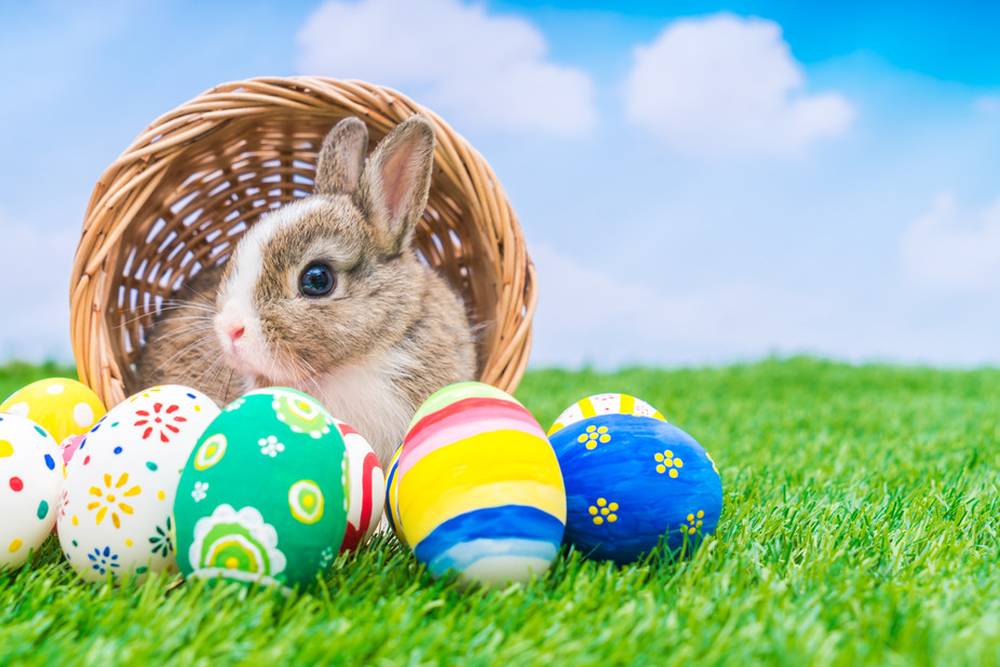 Bedeutung der Tiere Der Hase, Symbol in Mythologie und