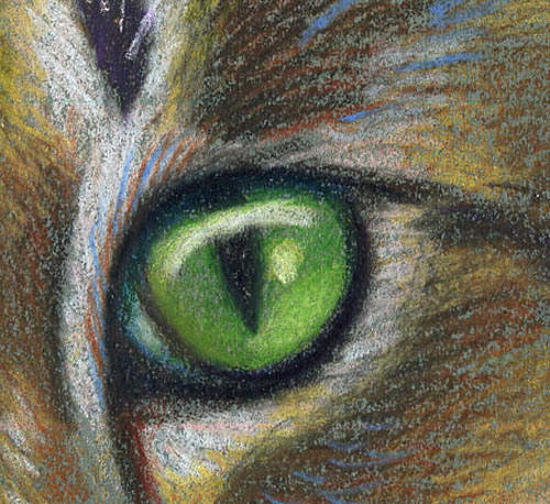 Die Katze zeichnen mit Buntstiften Tiere mit Bunstift zeichnen Wiemaltman.de Zeichnen lernen