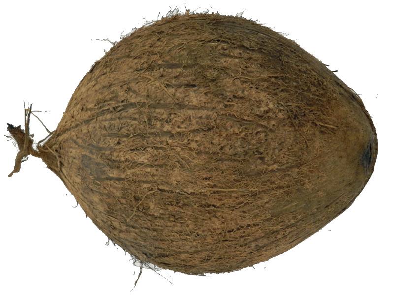 Coconuts Whole Wiffens