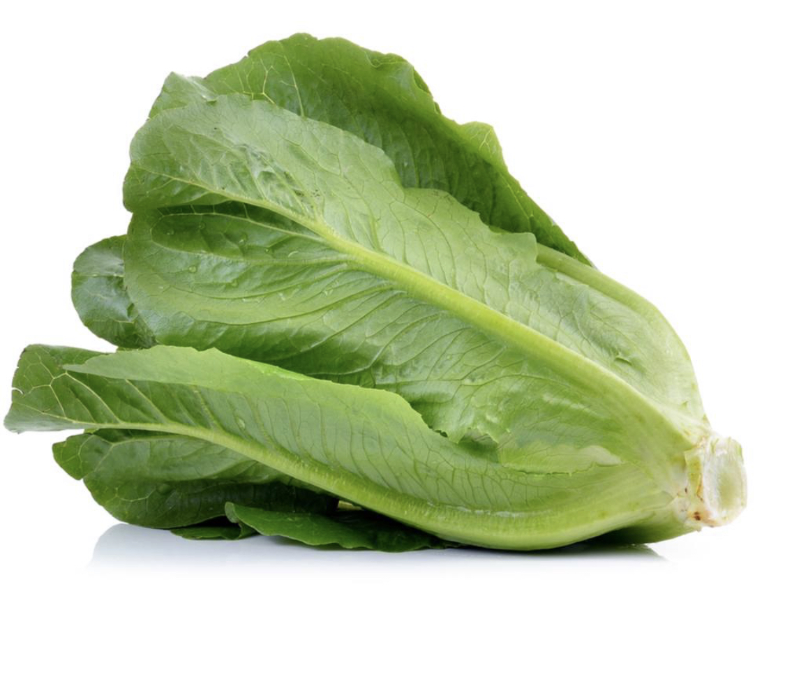 Lettuce Cos Wiffens