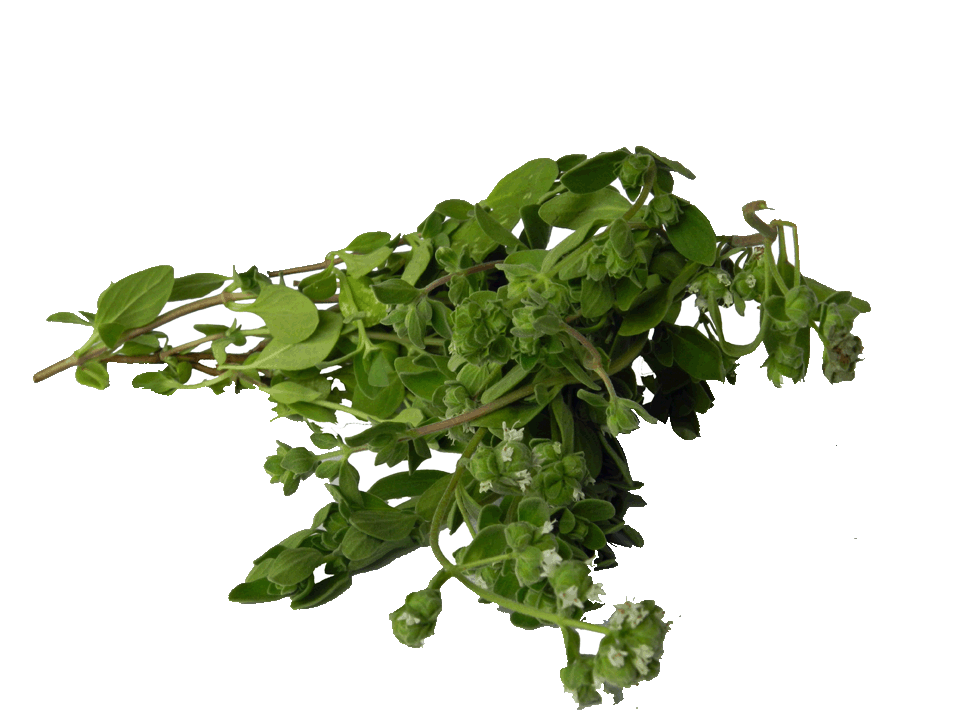 Herbs Archives Wiffens