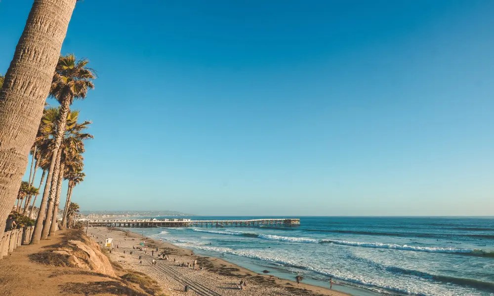 サンディエゴの治安2022年版【アメリカ旅行でトラブルに遭わない方法】 WiFiトラベル Blog