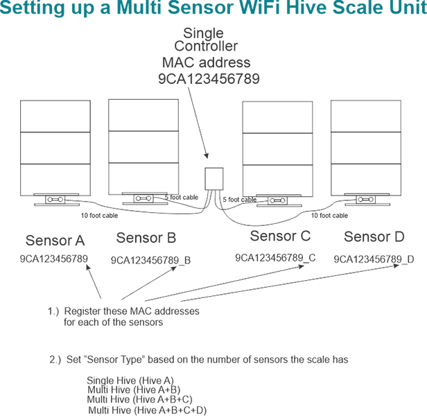 Multi Sensor Hive Scale