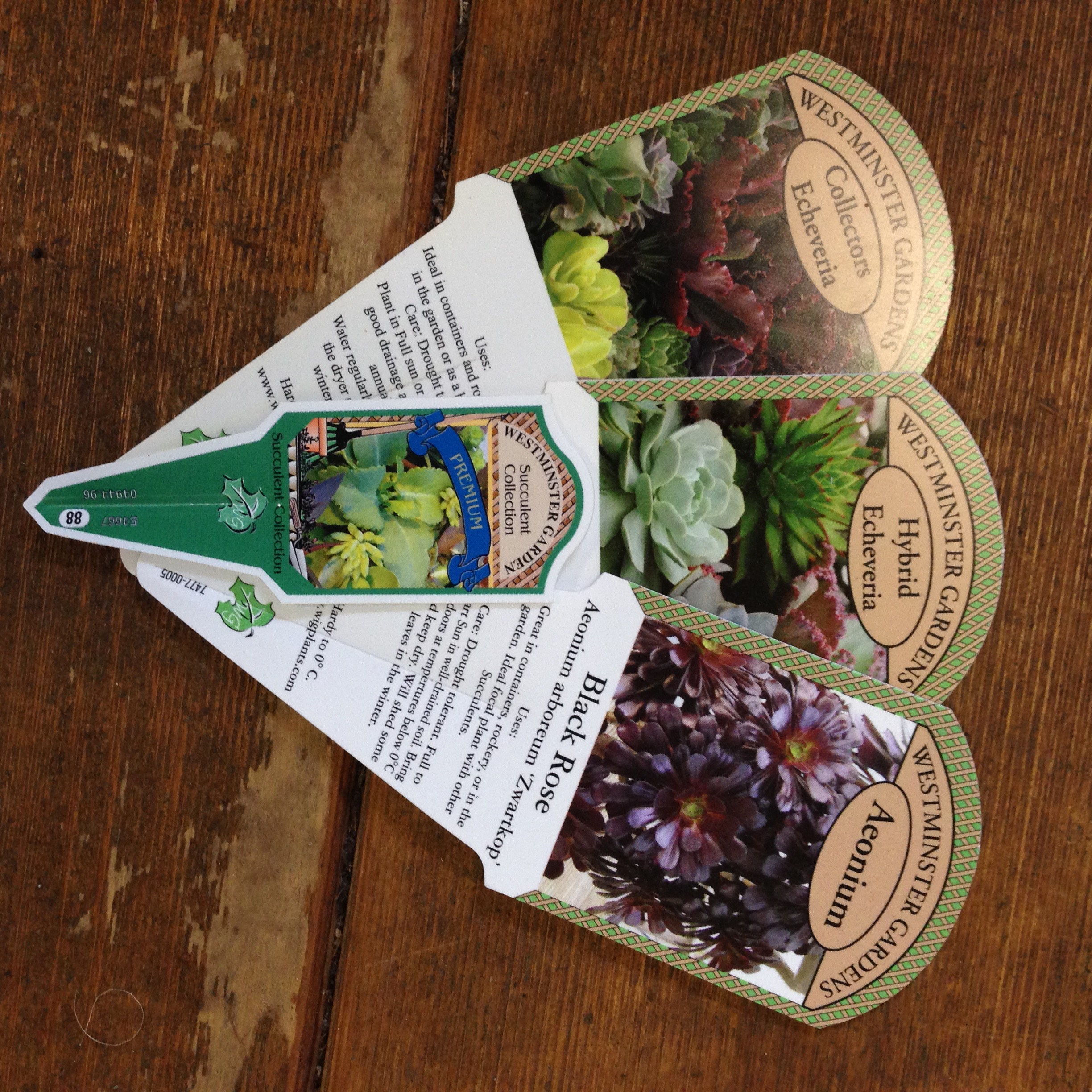 Westminster Gardens WIGPLANTS Western Independent Greenhouses