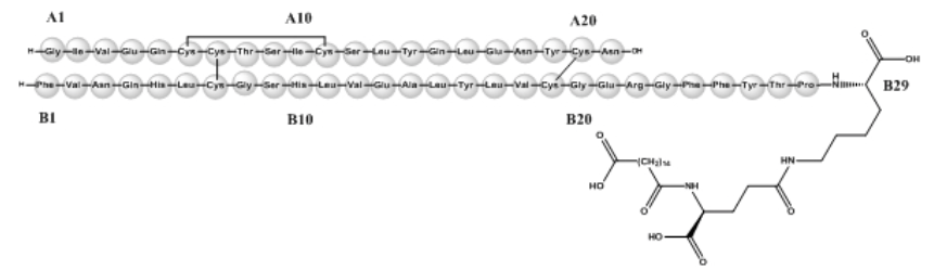 Insulin degludec wikidoc