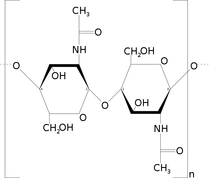 Chitin wikidoc