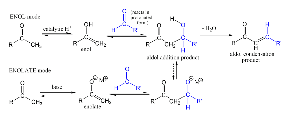 Aldol reaction wikidoc