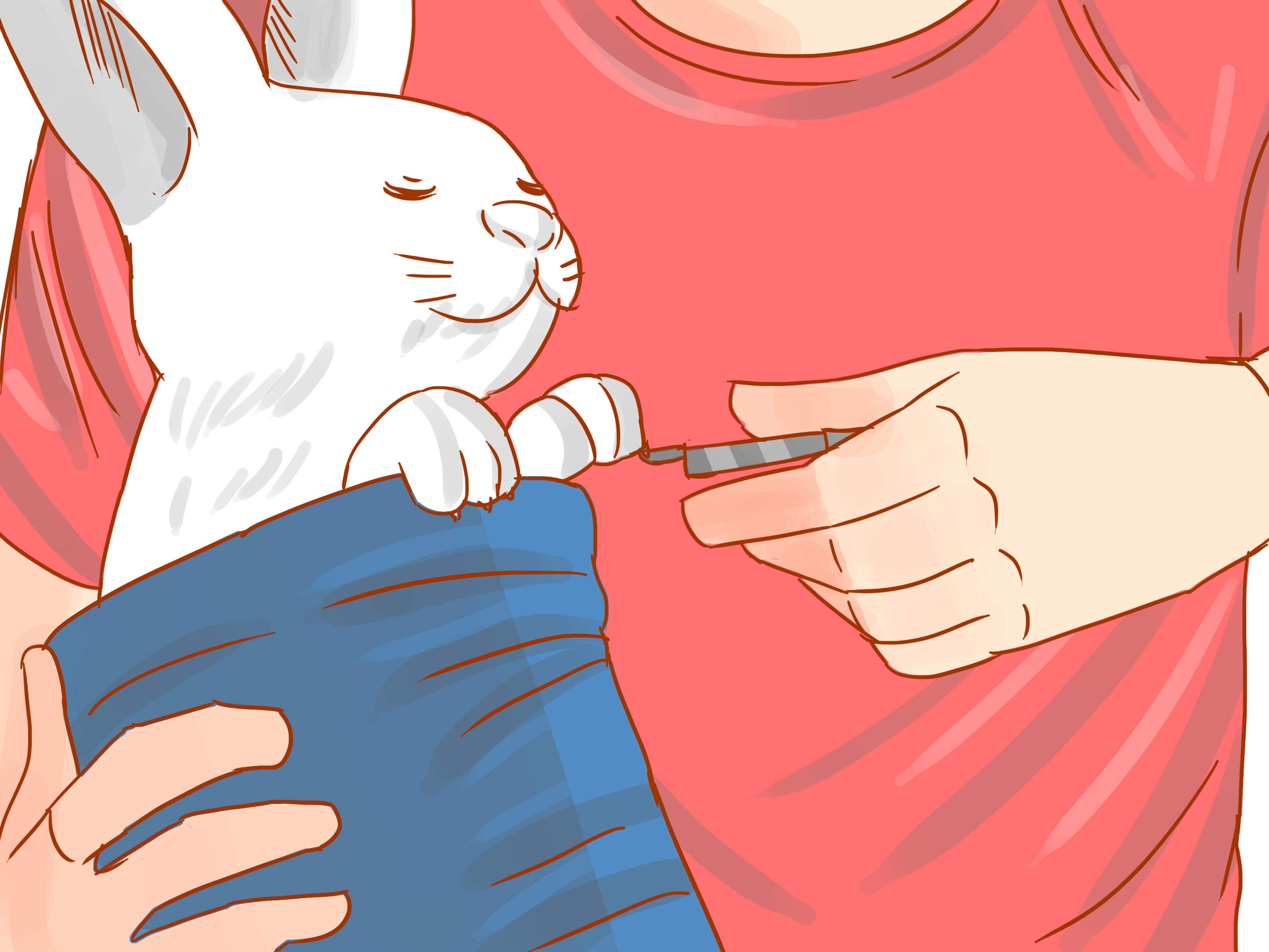 How to Cut a Rabbit's Claws 3 Easy Steps (with Pictures)