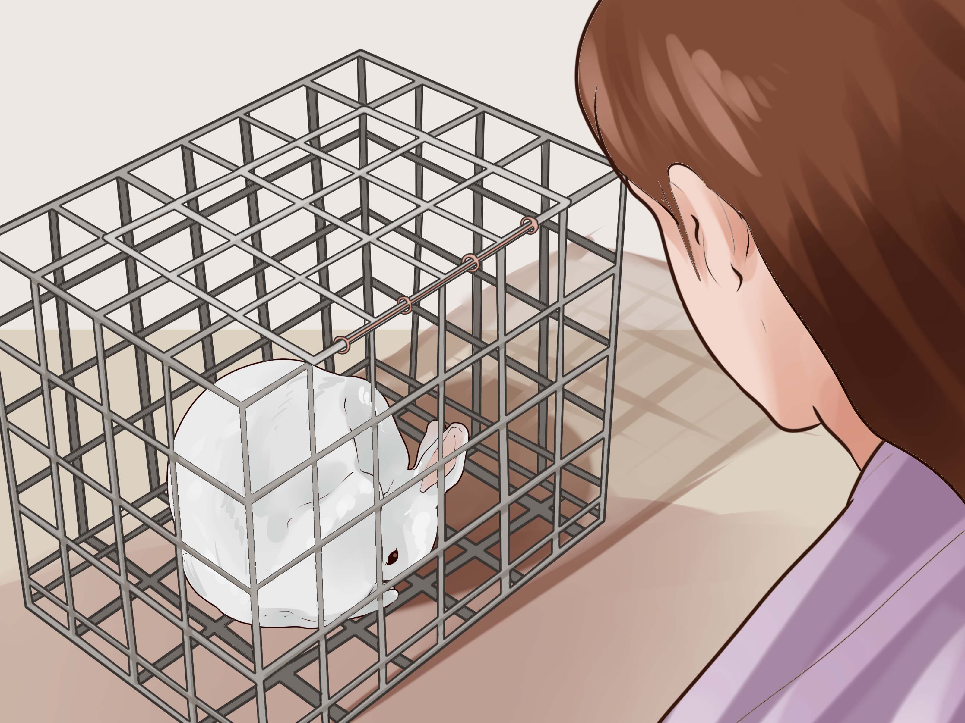 How to Choose Rabbit Food 10 Steps (with Pictures) wikiHow