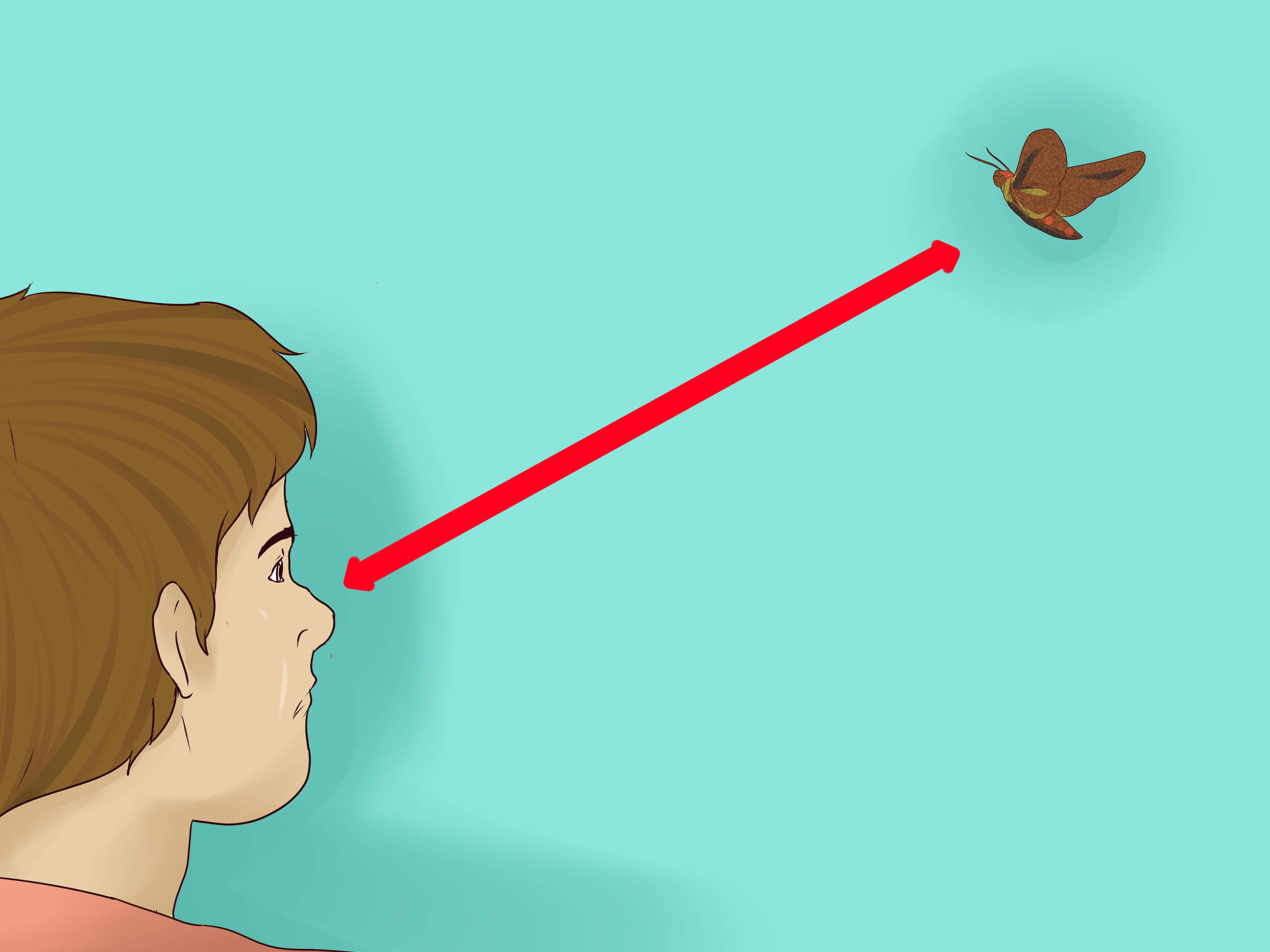 How to Catch a Flying Insect Quickly 10 Steps wikiHow