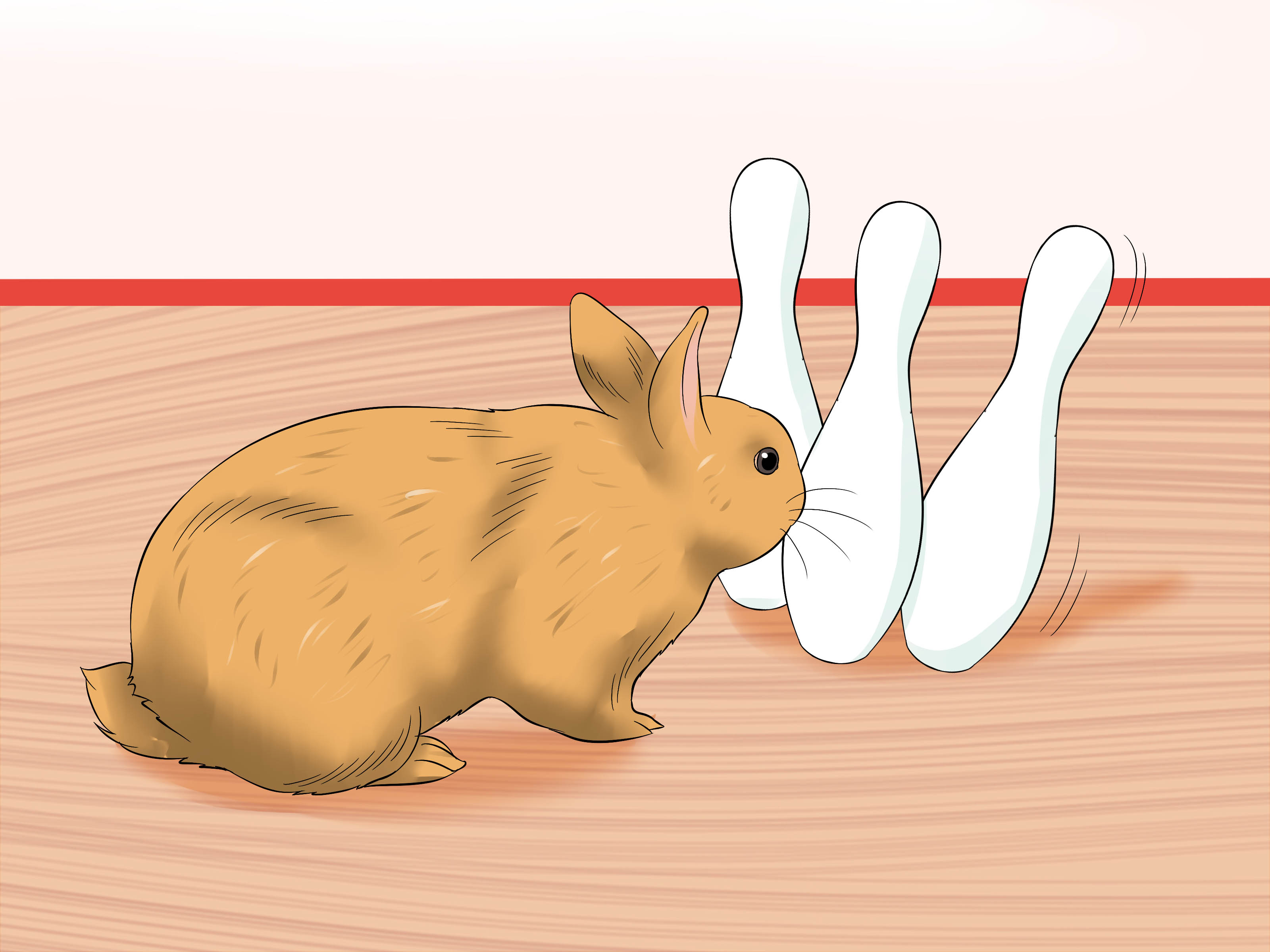 How to Treat Digestive Problems in Rabbits (with Pictures)
