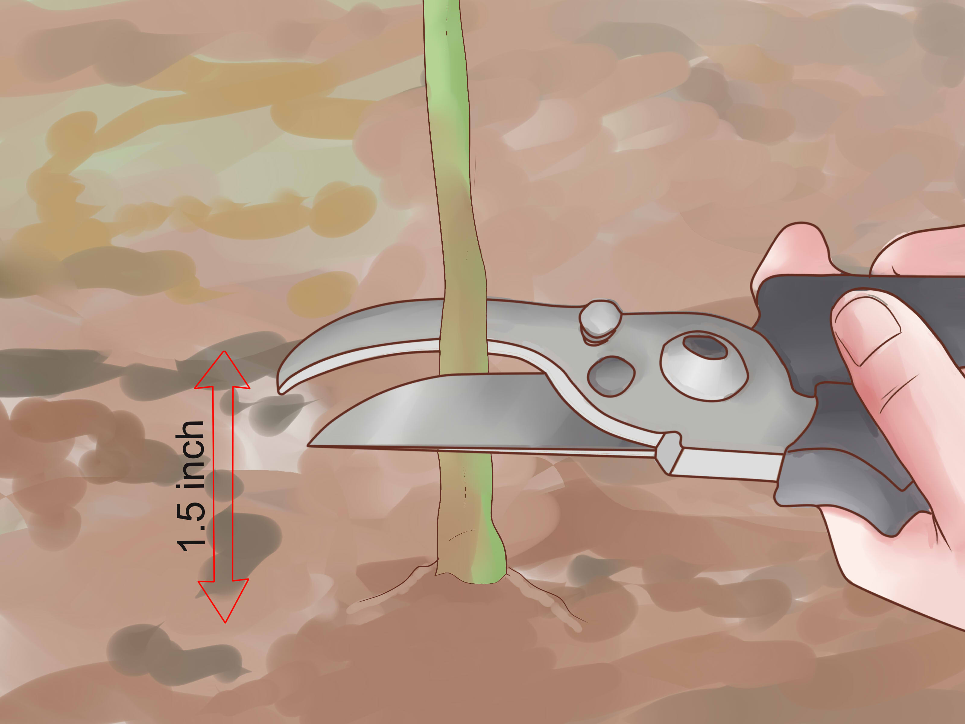 How to Prune Rosa Rugosa 9 Steps (with Pictures) wikiHow