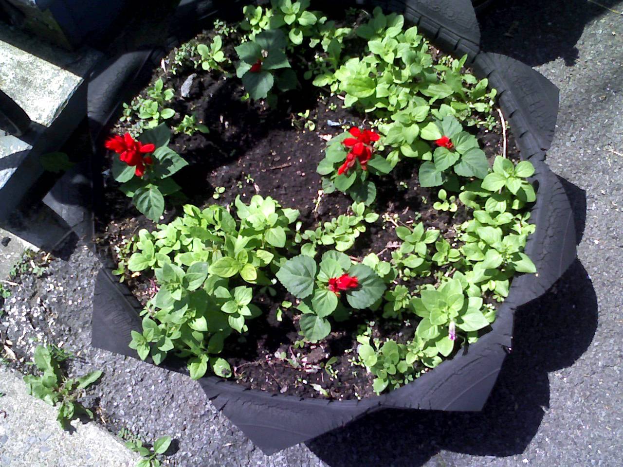 How to Make a Tire Plant Pot 8 Steps (with Pictures) wikiHow