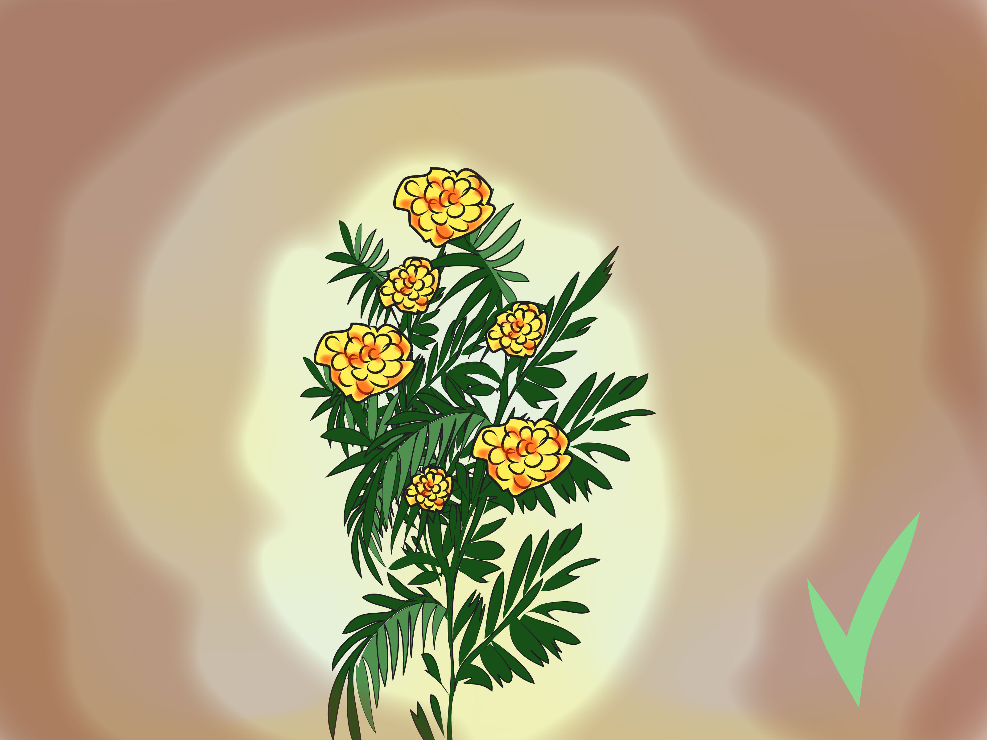 How to Underplant Roses 3 Steps (with Pictures) wikiHow