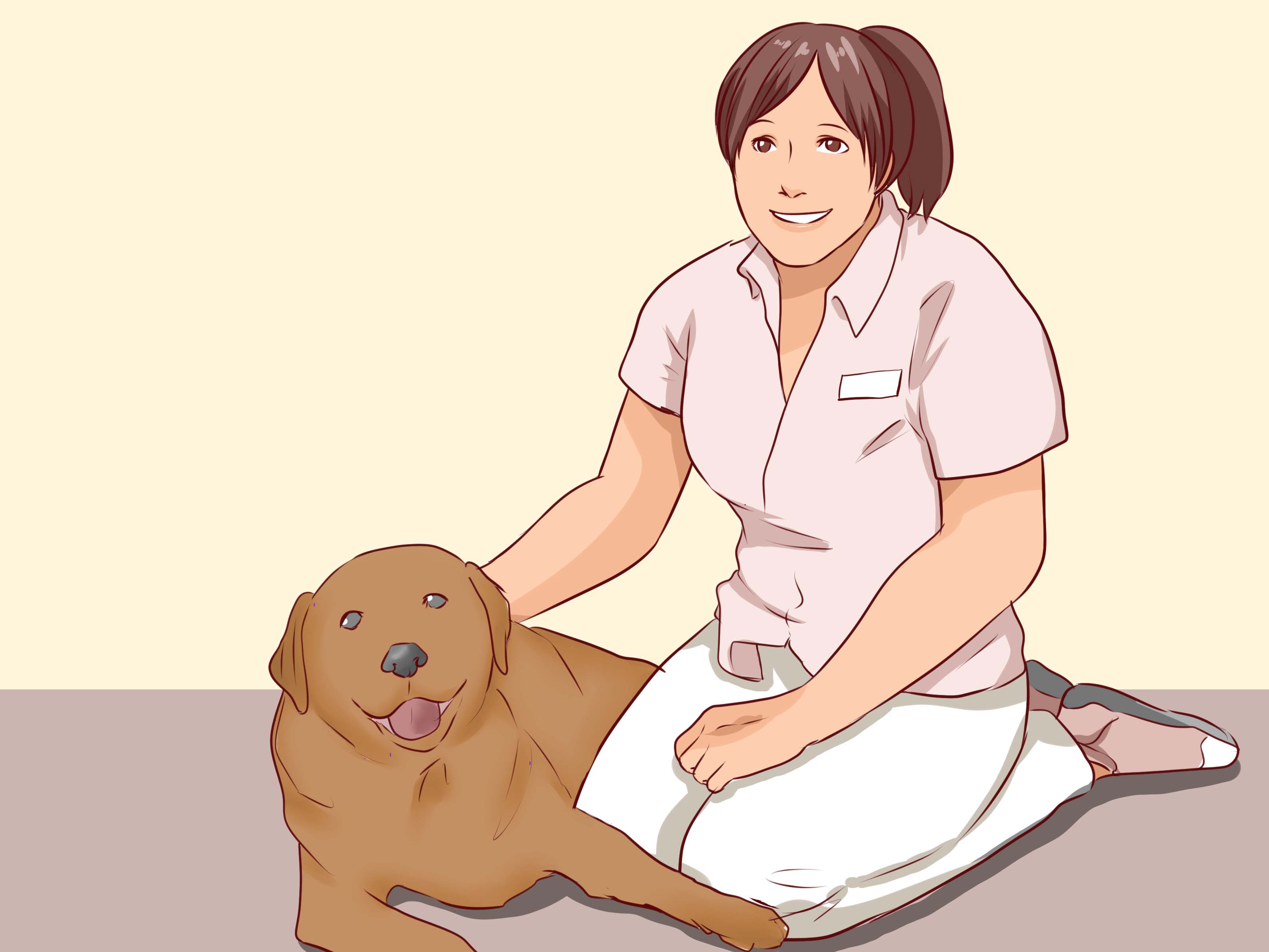 Een Hond Afleren Om Te Bijten: 15 Stappen (Met Afbeeldingen) - Wikihow