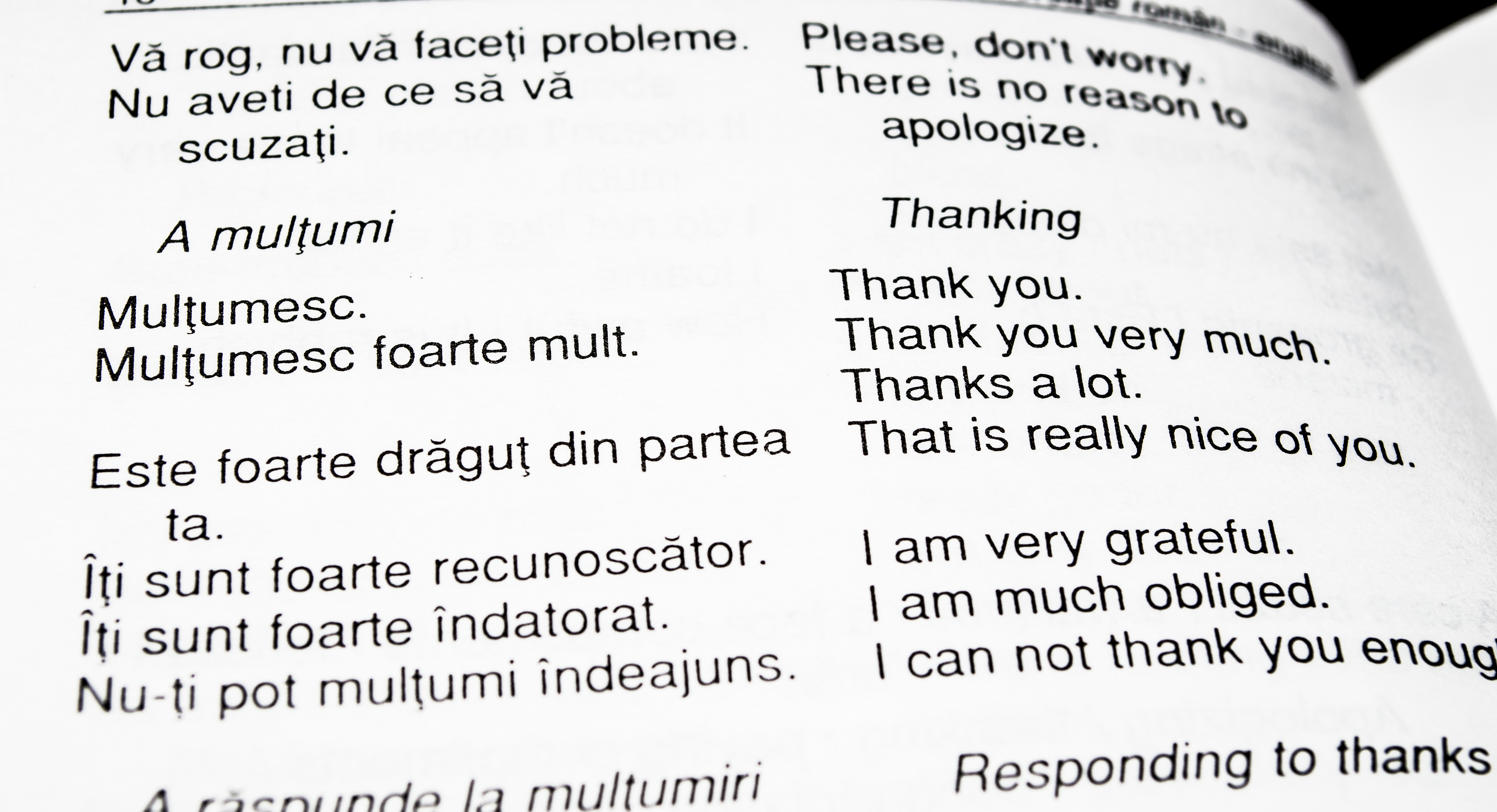 Romanian to English translation ImTranslator.net