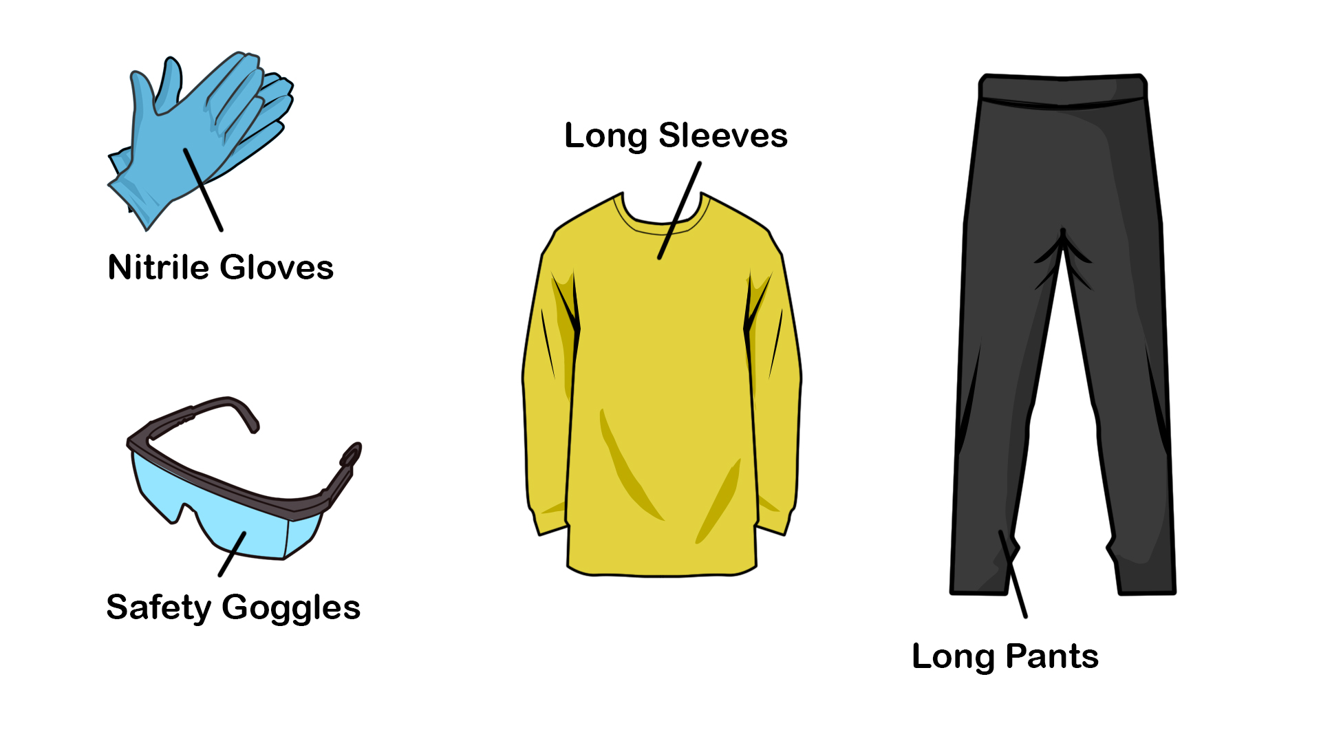 5 Ways to Kill Tree Roots wikiHow