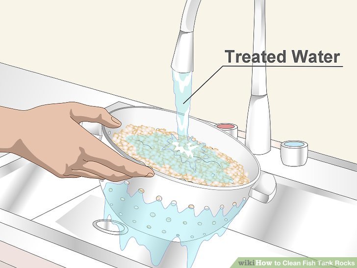 3 Ways to Clean Fish Tank Rocks wikiHow