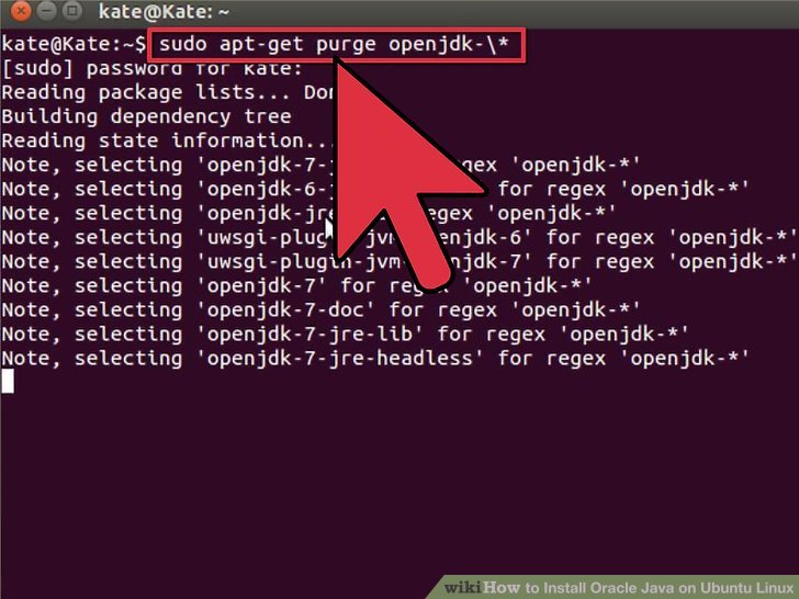 3 Ways to Install Oracle Java on Ubuntu Linux wikiHow