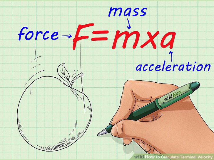 3 Ways to Calculate Terminal Velocity wikiHow