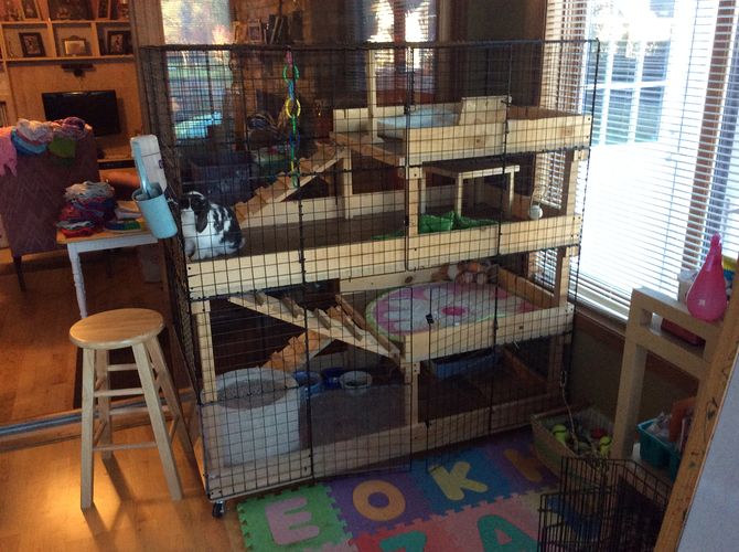 How to Build a Stackable Rabbit Cage (with Pictures) wikiHow