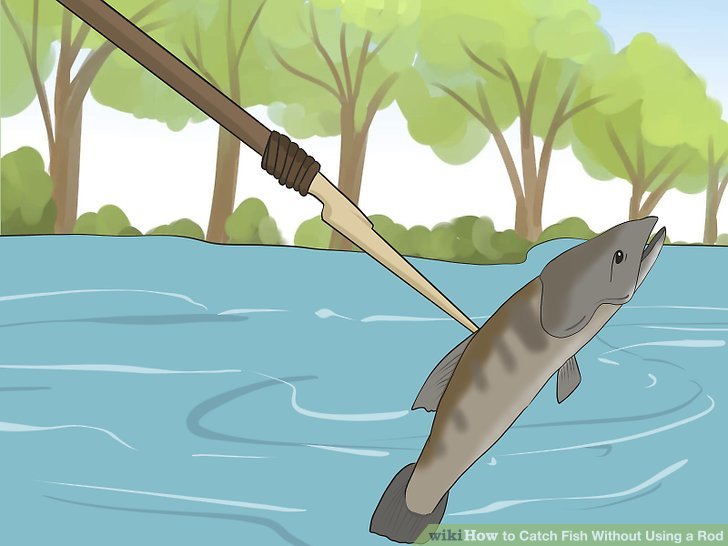 4 Ways to Catch Fish Without Using a Rod