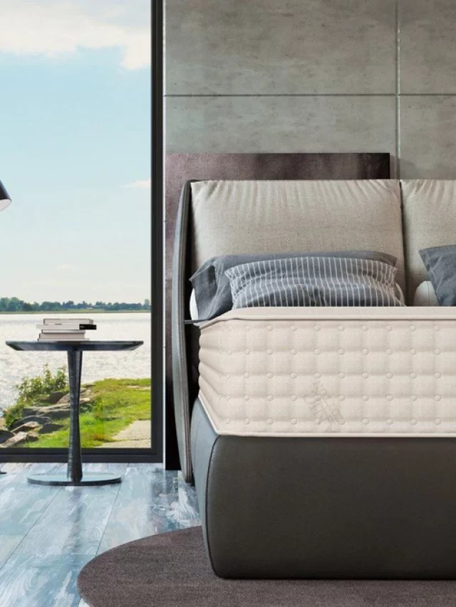 PlushBeds Botanical Bliss Mattress Is the comfort worth it?