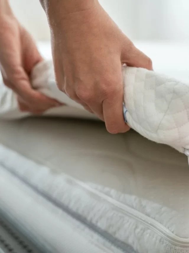 Replace your Mattress 5 Signs It's Harmful and Must be Replaced