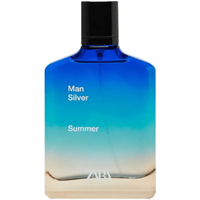 Introduce 90+ imagen zara man silver fr.thptnganamst.edu.vn