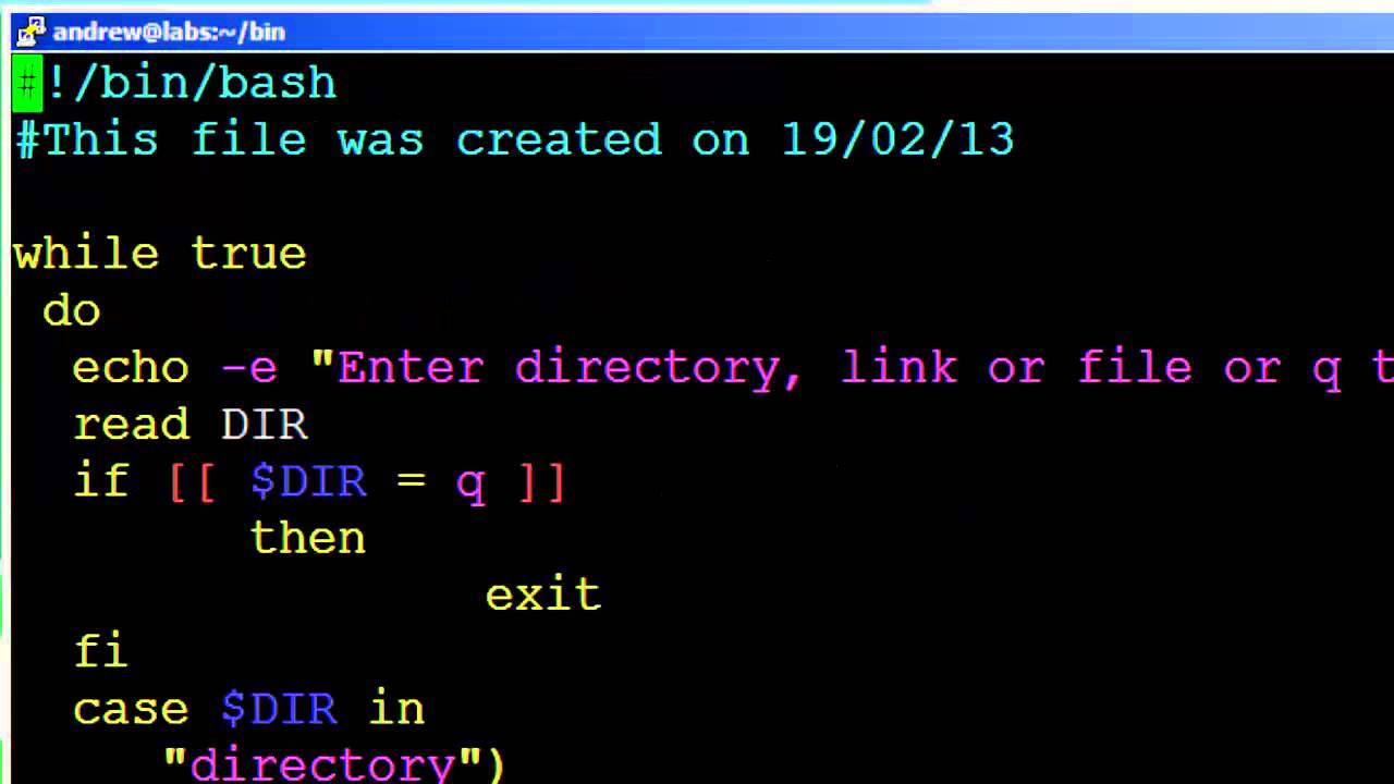 How to Write Bash WHILELoops Wikitechy