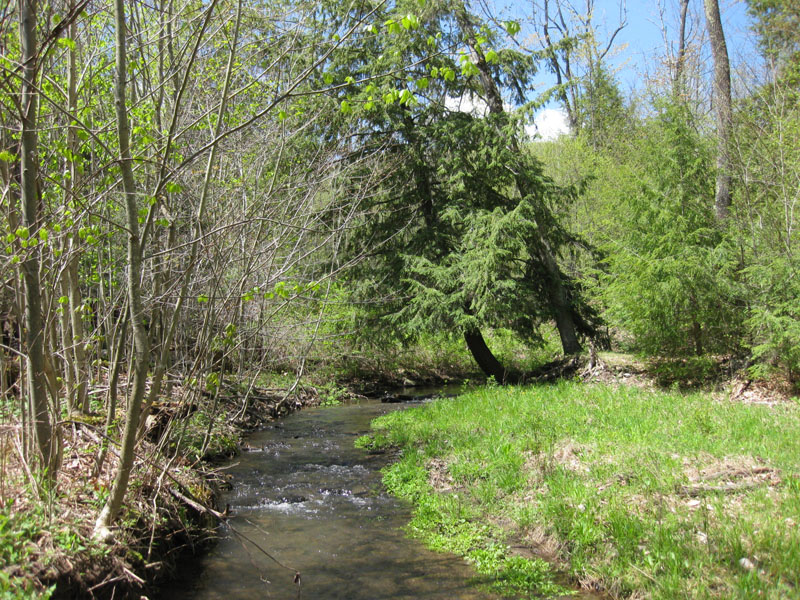 Blair Creek Wild Asaph Cabin Rentals in Wellsboro PA