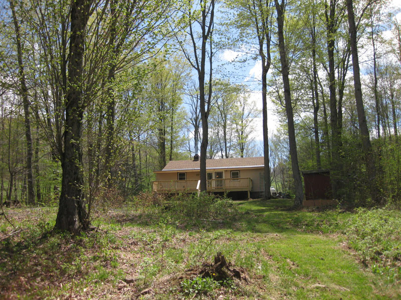 Blair Creek Wild Asaph Cabin Rentals in Wellsboro PA